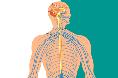 Wordt fibromyalgie veroorzaakt door een ontregeling in het centrale zenuwstelsel?