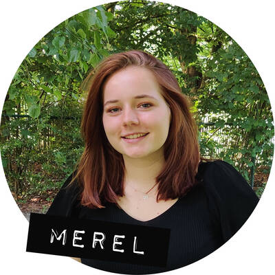 merel-web